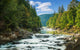 Mountain River Wall Decal