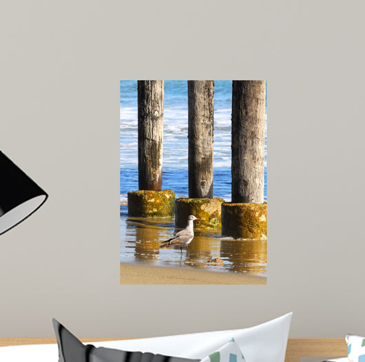 Lone Seagull Walking Beach Wall Decal