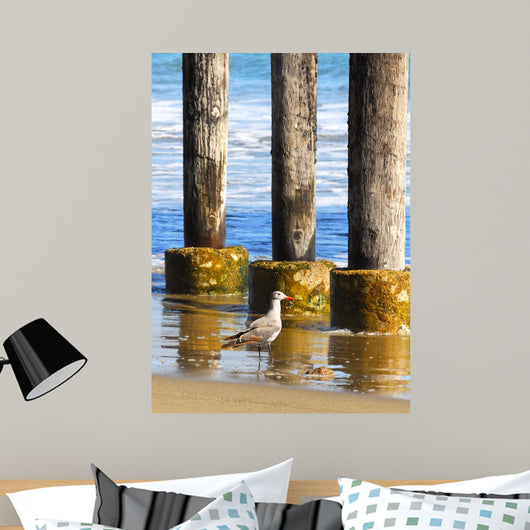 Lone Seagull Walking Beach Wall Decal