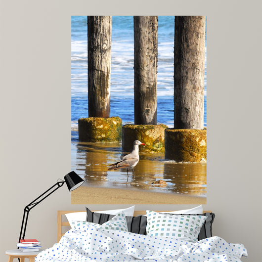 Lone Seagull Walking Beach Wall Decal