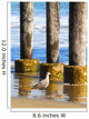 Lone Seagull Walking Beach Wall Decal