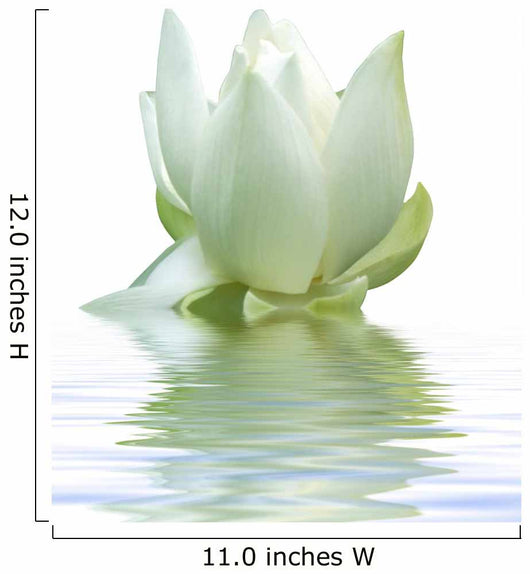 White Lotus Flower Wall Decal