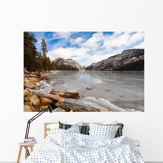 Yosemite Frozen Lake Winter Wall Decal