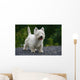 West Highland White Terrier Wall Decal