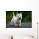 West Highland White Terrier Wall Decal