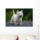 West Highland White Terrier Wall Decal