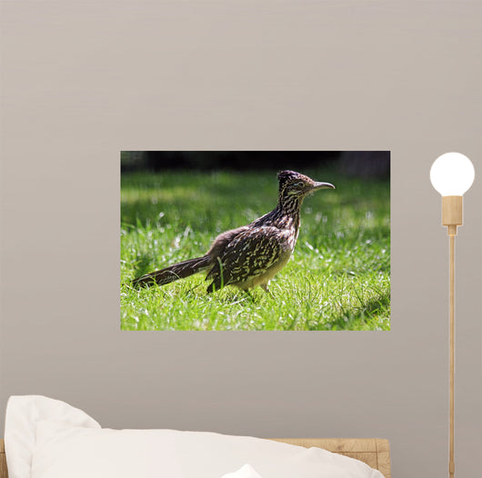 Roadrunner Wall Decal