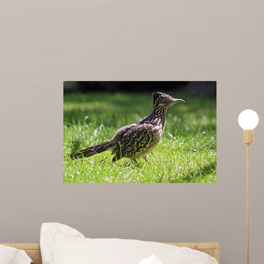 Roadrunner Wall Decal