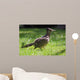 Roadrunner Wall Decal