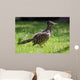 Roadrunner Wall Decal