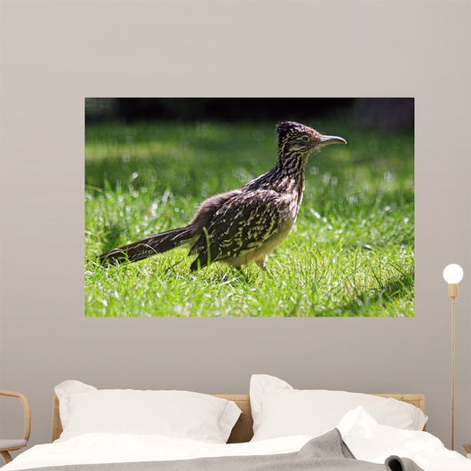 Roadrunner Wall Decal