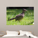 Roadrunner Wall Decal