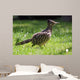 Roadrunner Wall Decal