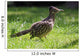 Roadrunner Wall Decal