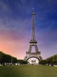Eiffel Tower Paris in Evening Wall Decal