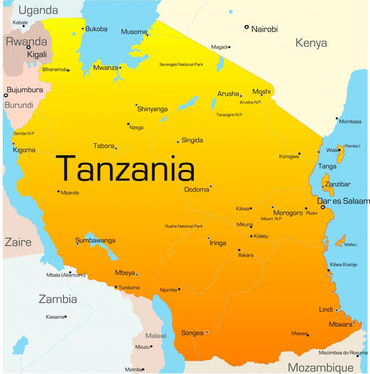 Color Map Tanzania Wall Decal