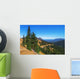 Fir Grove Hillside near Wall Decal