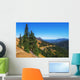 Fir Grove Hillside near Wall Decal