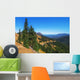 Fir Grove Hillside near Wall Decal