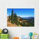 Fir Grove Hillside near Wall Decal