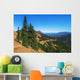 Fir Grove Hillside near Wall Decal
