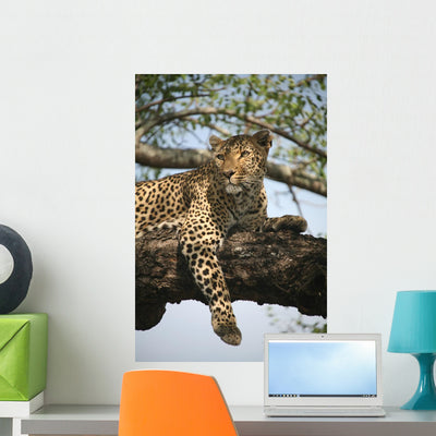Leopard Keeps Watch Wall Decal shown on a wall