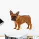 French Bulldog Puppy Diet Wall Decal