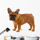 French Bulldog Puppy Diet Wall Decal