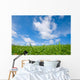Grassland Blue Sky Wall Decal