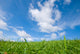 Grassland Blue Sky Wall Decal