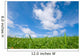 Grassland Blue Sky Wall Decal