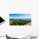 Panoramic Langhe Vineyards Wall Decal