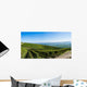 Panoramic Langhe Vineyards Wall Decal