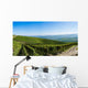 Panoramic Langhe Vineyards Wall Decal