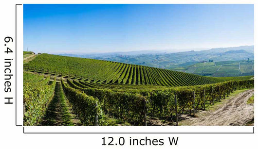 Panoramic Langhe Vineyards Wall Decal