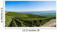 Panoramic Langhe Vineyards Wall Decal
