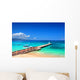 Doctor's Cave Beach Club Wall Decal