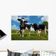 Ha Bsche Rinder Wall Decal