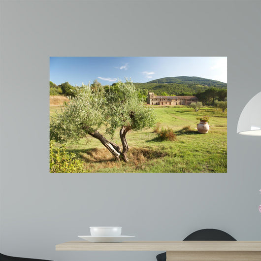Luxury Country House Tuscan Wall Decal