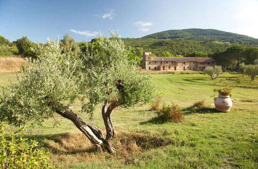 Luxury Country House Tuscan Wall Decal