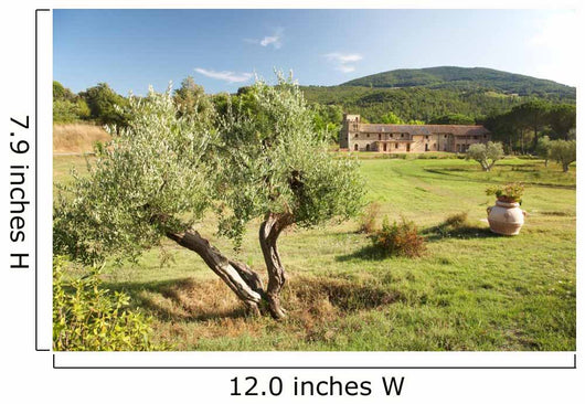 Luxury Country House Tuscan Wall Decal