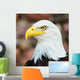 Aigle Wall Decal