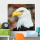 Aigle Wall Decal