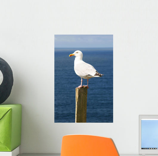 Seagal near Ocean Wall Decal