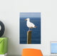 Seagal near Ocean Wall Decal