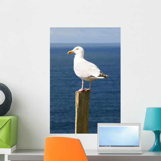 Seagal near Ocean Wall Decal