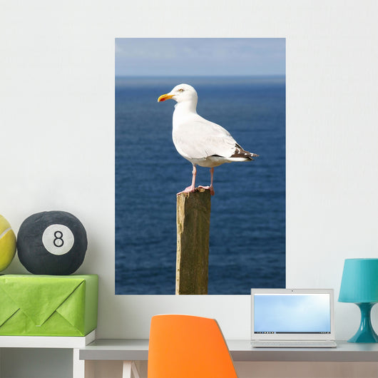 Seagal near Ocean Wall Decal