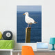 Seagal near Ocean Wall Decal