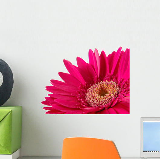 Up Pink Gerber Daisy Wall Decal