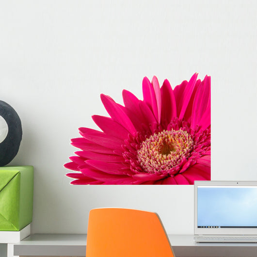 Up Pink Gerber Daisy Wall Decal